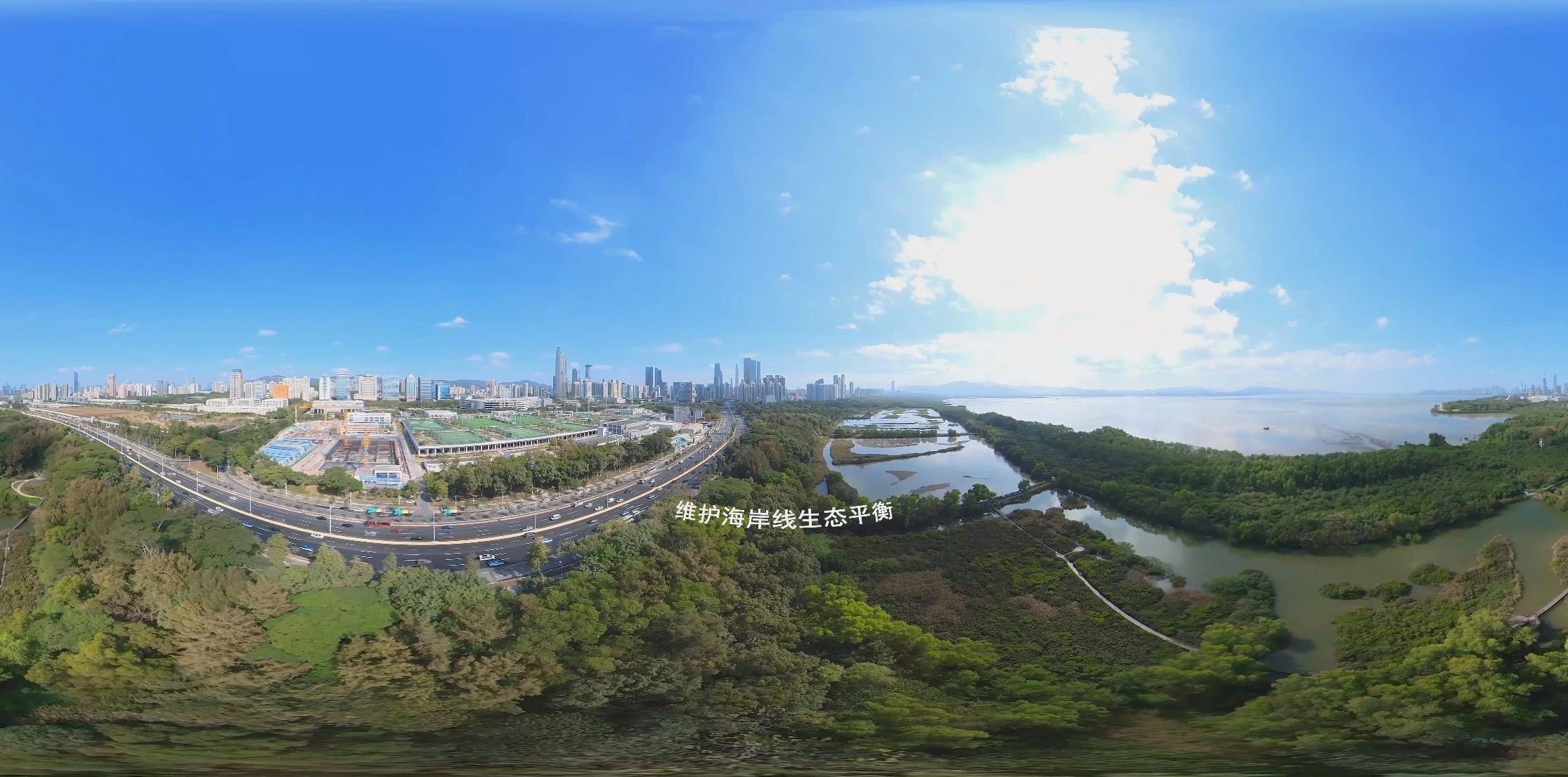深圳观鸟